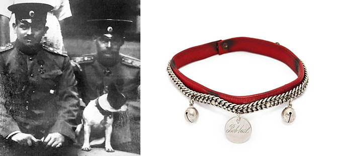 Fabergé Dog Collar Internal diameter: 5 in. Collar for dog belonging to Grand Duchess Olga with photo of Bobtail and GD Olga. Red leather collar with metal bells and tag inscribed “Bobtail,” the name of the French bulldog who belonged to Grand Duchess Olga, the youngest sibling of Russia’s last czar, Nicholas II. 