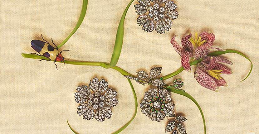 The Adventurine Posts Highlights From ‘In Bloom’ at Sotheby’s